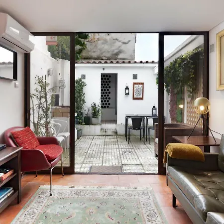 Apartment Estrela's Cellar And Terrace House