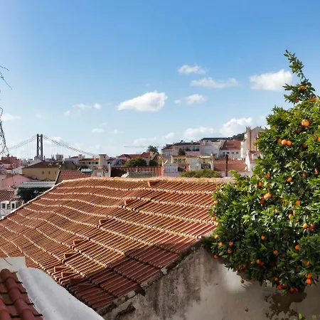 アパート Estrela's Cellar And Terrace House リスボン